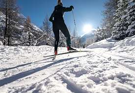 Langläufer auf einer sonnigen Loipe durch den Winterwald in Pontresina.