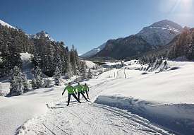 Drei Langläufer auf einer sonnigen Loipe in Pontresina mit verschneiten Bergen und Wäldern im Hintergrund.