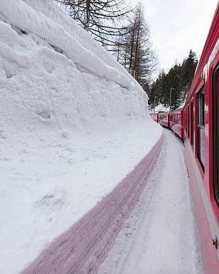 Sunstar Swiss Hotel Collection - Pontresina - Winter Sunstar Swiss Hotel Collection - Pontresina - Winter